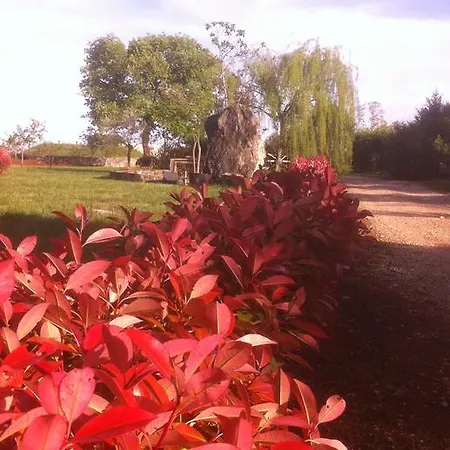 Dom wakacyjny Homes D&d Pula