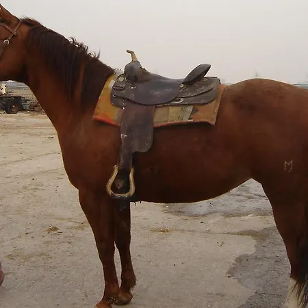 Homes D&d Dom wakacyjny