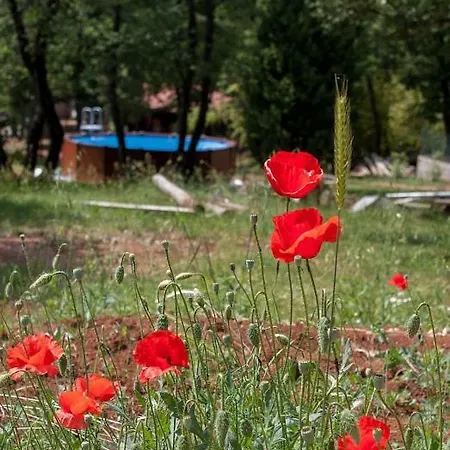 Homes D&d Dom wakacyjny