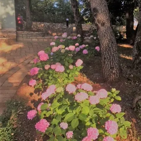 Homes D&d Dom wakacyjny *